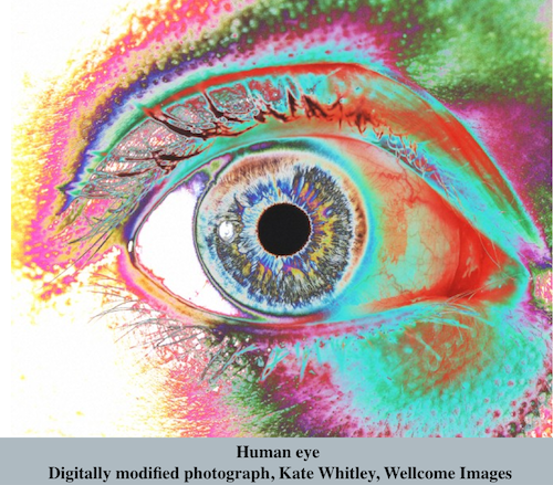 HumanEye