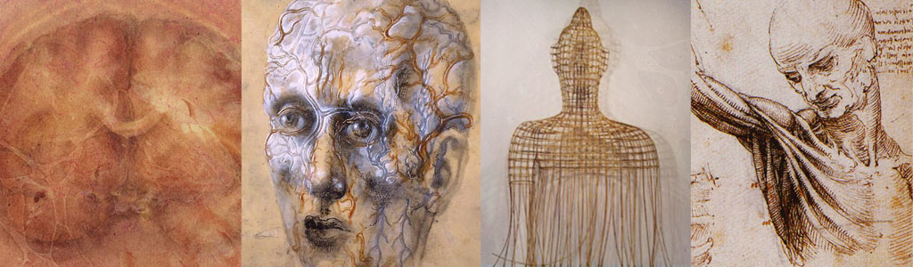 Litmed-lpage-VisualArt